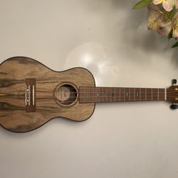 Ukulele