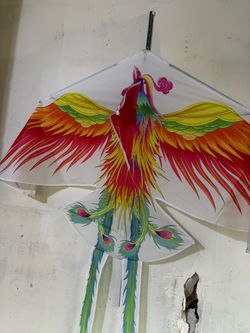 Kite