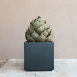Brand New Desert Steel Artichoke Agave Sculpture – Outdoor Metal Decor