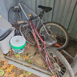 Bikes 