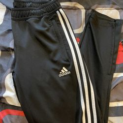 Adidas Pants