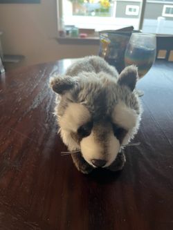 Webkinz Raccoon