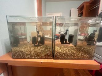 Cycled 6 gallon cube tanks