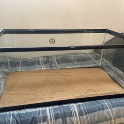 Lizard Tank