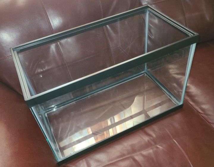 10 Gallon Tank 