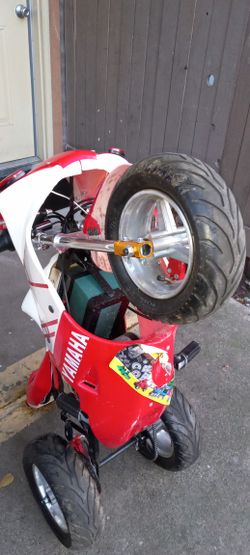 Unique Brand Electric 3 Wheeler. 350w 24v