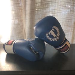16oz Boxing Gloves