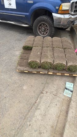 Free sod