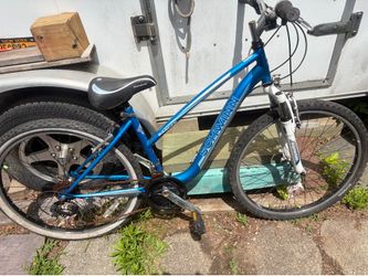 Schwinn ranger bile
