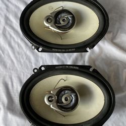 Pioneer 6 Inch Speaker