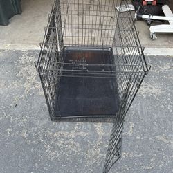 Dog Kennel