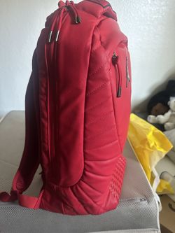 Jordan retro 12 backpack red cheap