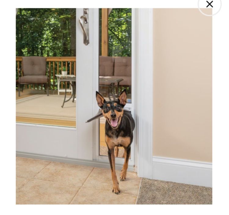 Pet Door