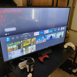 Smart TV (Insignia Fire TV)