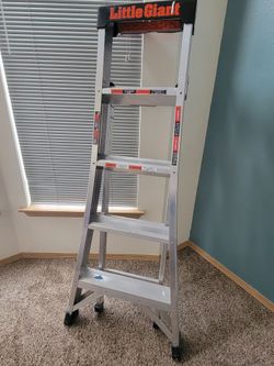 Little giant ladder