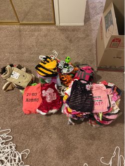 Dog clothes, bandannas, bows, and ribbons, boots, jackets, Halloween costumes, Christmas outfits