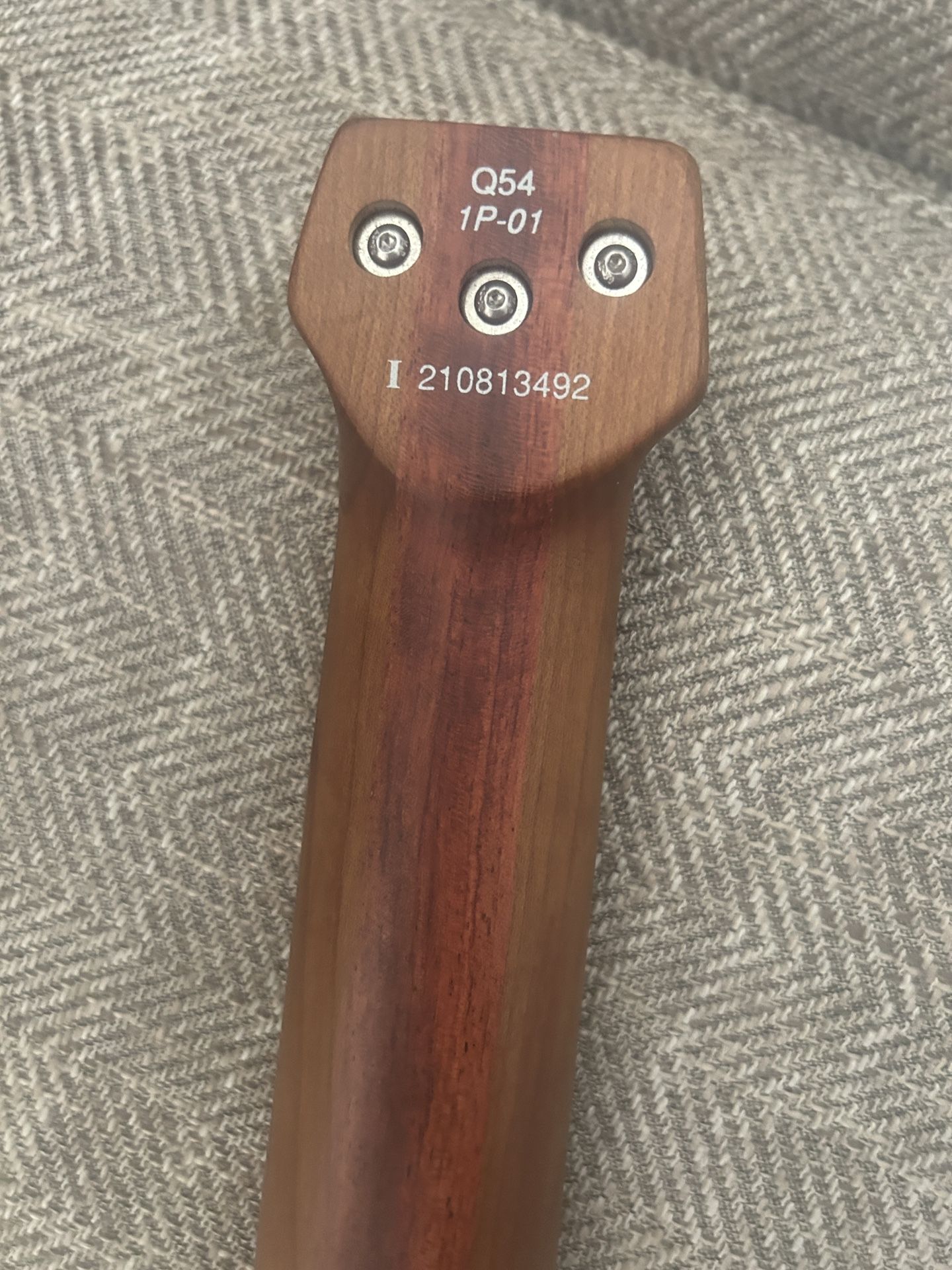 Electric Guitar