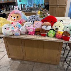 Squishmallows Collection (many with tags!)