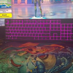 Razer Gaming Laptop.