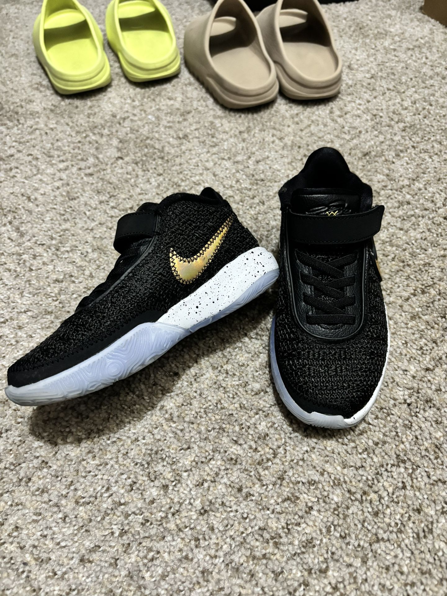 Sz 12c Lebron 20s