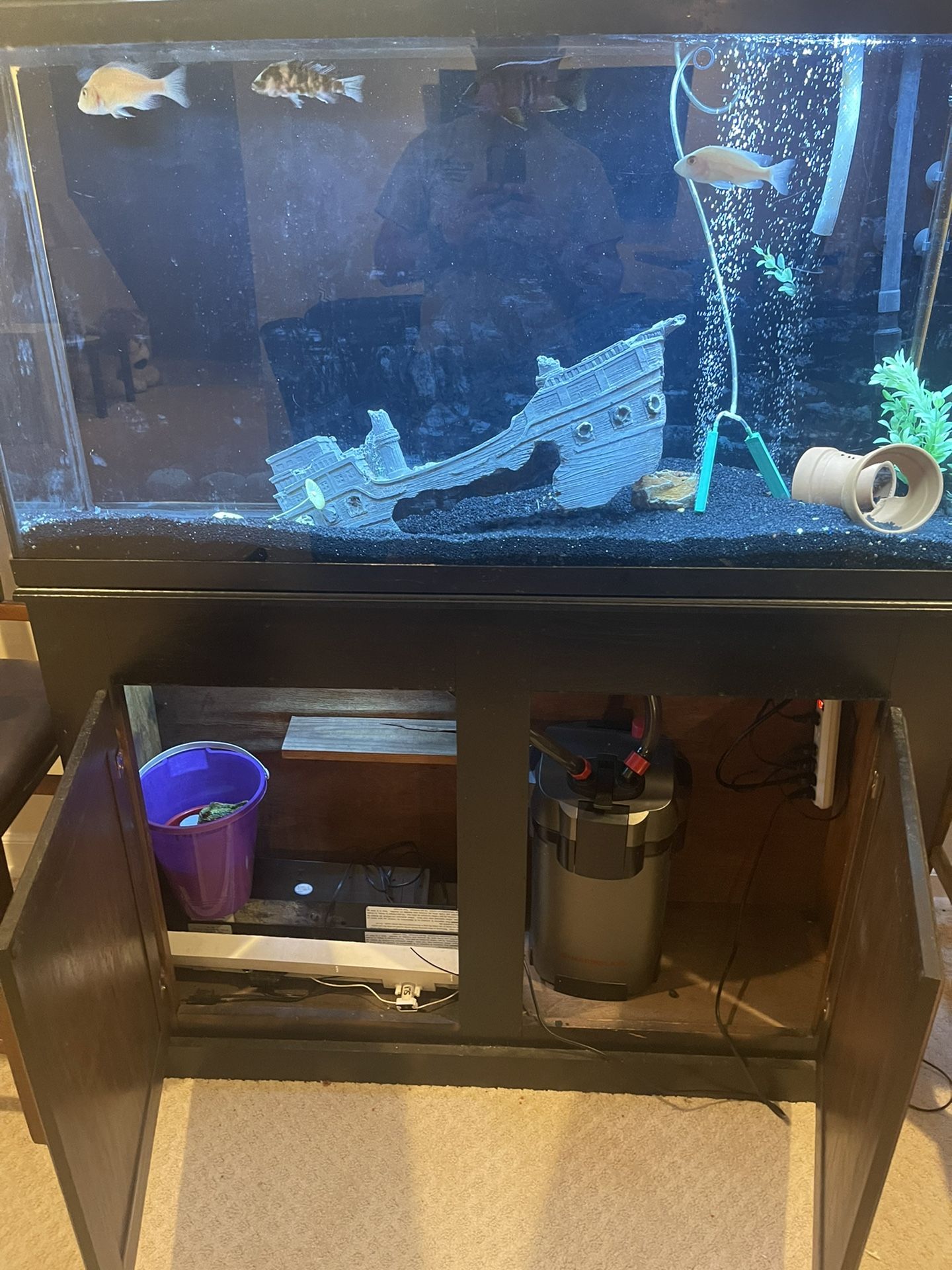 Full Set Fish Tank