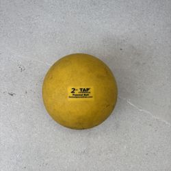 2 LBS TAP Weighted Medicine Ball