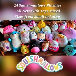 24 New With Tags Squishmallows 