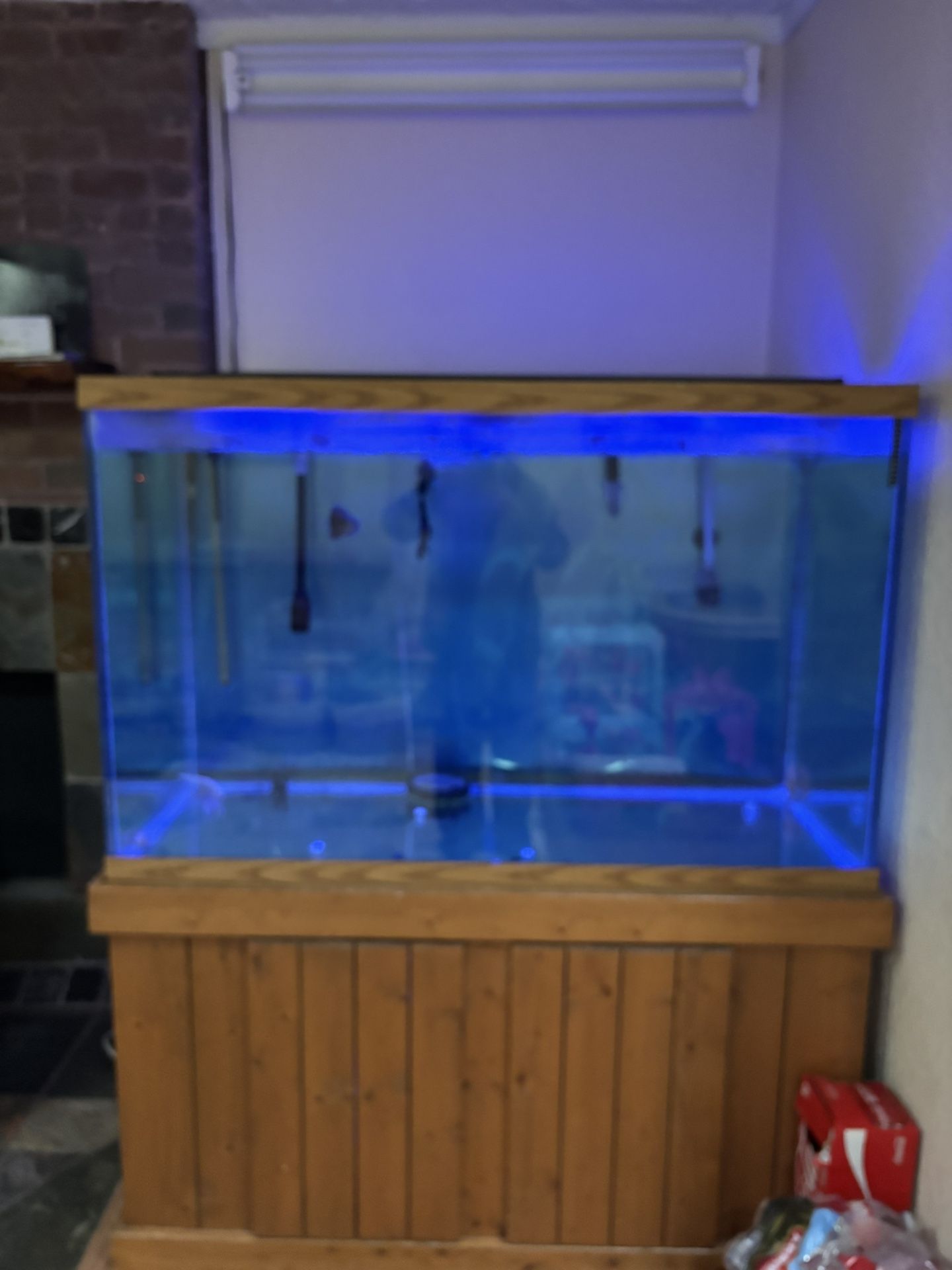 175-180 gallons fish tank full set up