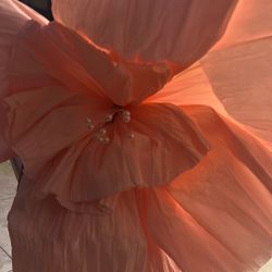  Wedding Giant Flower Decoration Floral Arrangement Multipurpose Artificial Flower for Birthday 