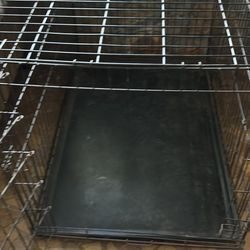 Dog Crate