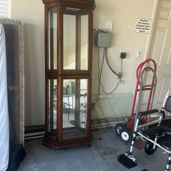 Curio Cabinet (Wood and Glass lighted)