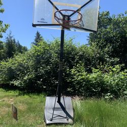 Basketball Hoop  - Silverback