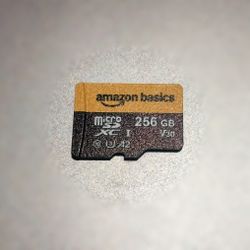 Anbernic RG556, RGSlide, RG476, RG406  Preloaded 256GB micro SD Card -Plug & Play 