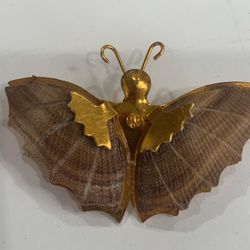 Scallop Shell Butterfly Pin