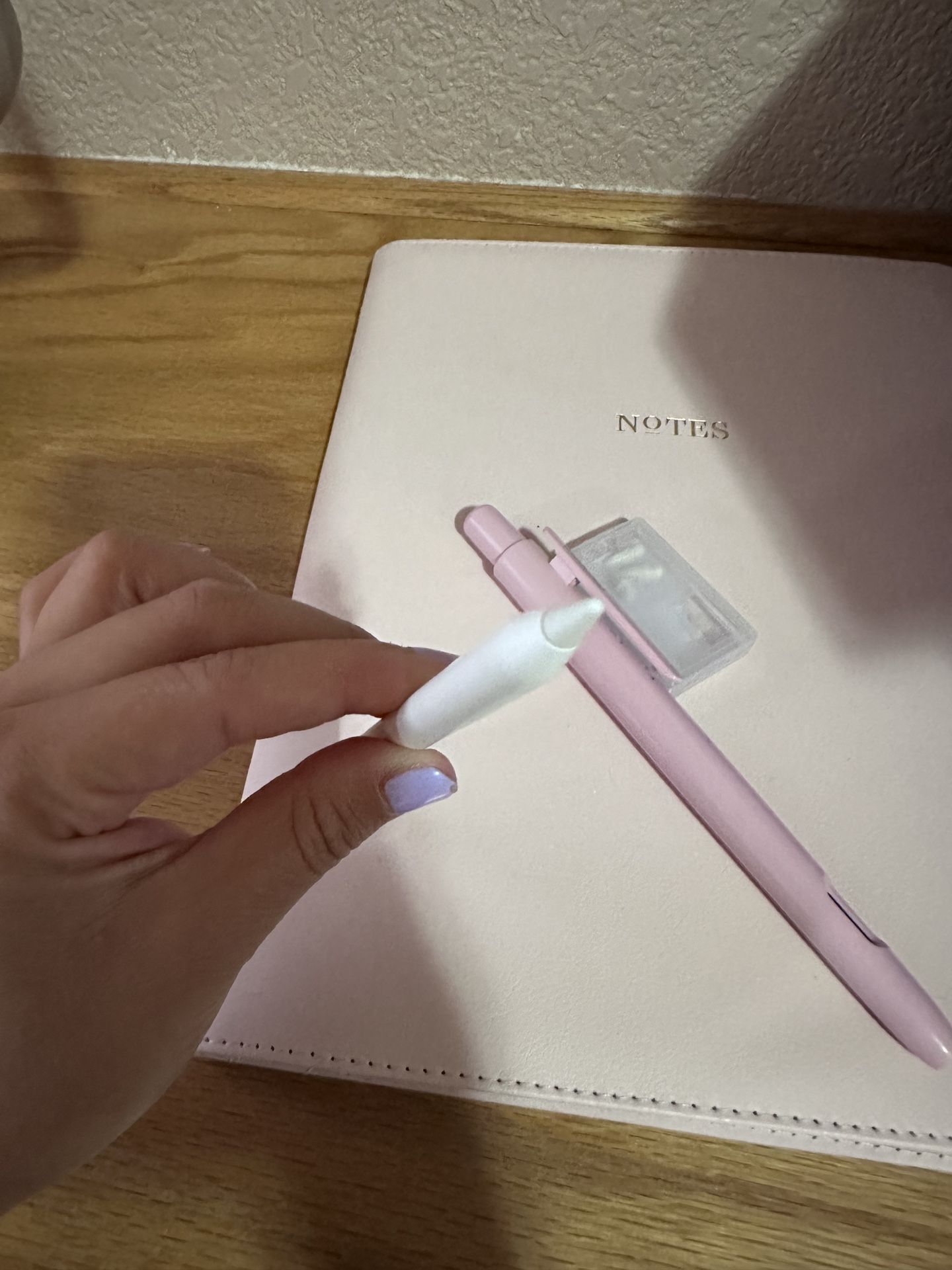 Apple Pencil 2nd Gen With Pen Case And Pen Tips