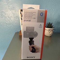 Sony camera holder