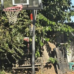 Basketball Hoop