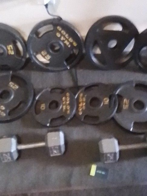 Weight Plates