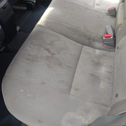 Shampoo Interior