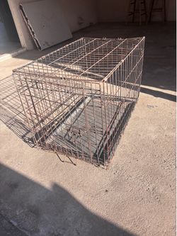 Free Dog Cage