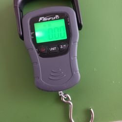 PESA DIGITAL