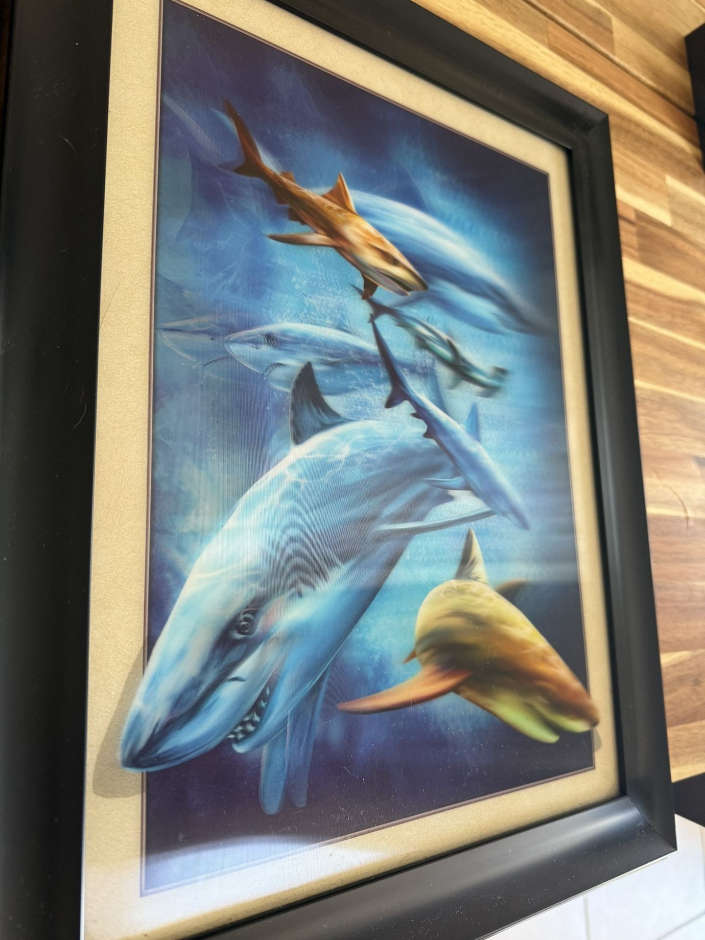 Large 3 D Shark Image With Frame 