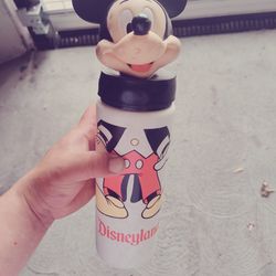 Vintage Disneyland Cup Collectable
