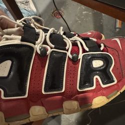 Bulls Scottie Pippens