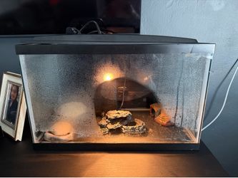 Tank of 10 g plus two turtles