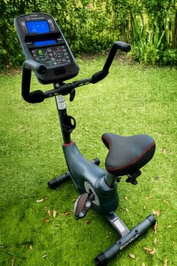 Schwinn 170 Upright Bike