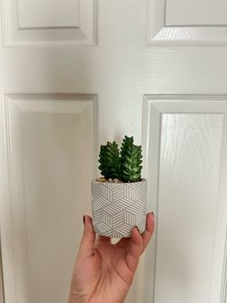 Artificial Succulent