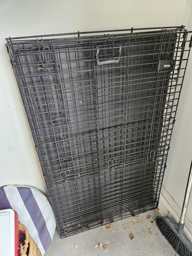 Dog Kennel
