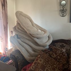 Dog Beds
