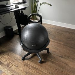 Gaiam Medicine Ball Chair